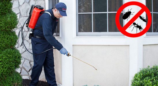 Çaycuma Böcek ve Haşere İlaçlama böcek ilaçlama ve haşere kontrolü — ilaclama-tr.com